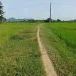 Bán đất 2 sào 6 giá 145 triệu Bình Thuận - Ảnh thu nhỏ 1