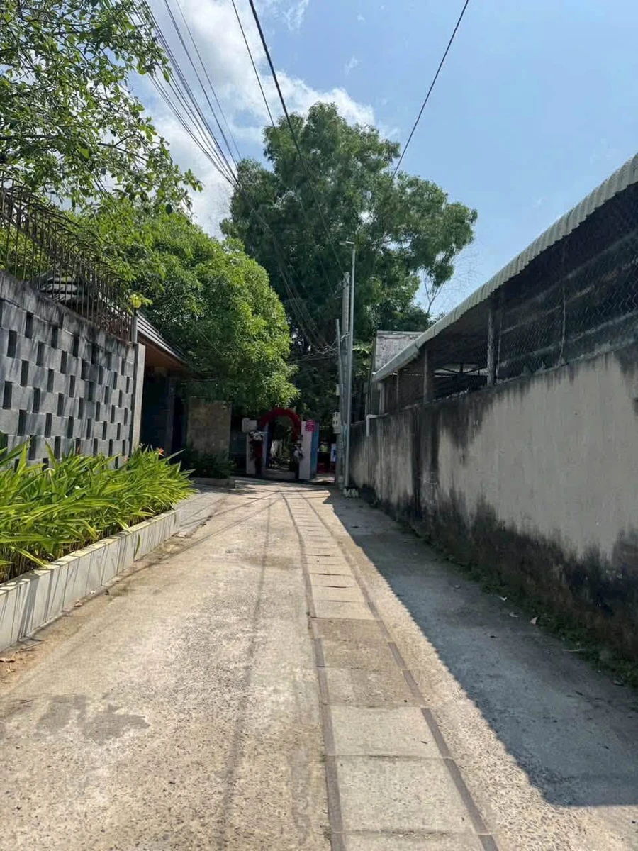 Bán lô đất 228m2 có nhà cấp 4 thổ cư, lô góc 2 mặt đường tại xã Long Hải - Ảnh thu nhỏ 2