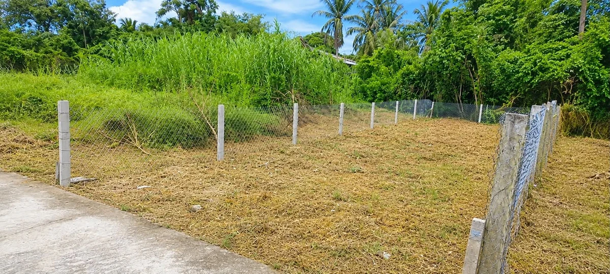 Bán đất thổ cư 91m2 giá 690 triệu Nhà Bè - Ảnh thu nhỏ 2