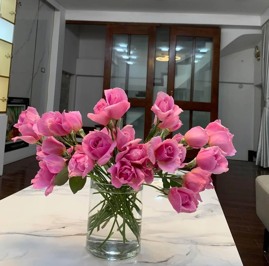 Cho thuê nhà ngõ 26m² 5 tầng Lương Đình Của, Phương Mai - Ảnh thu nhỏ 3