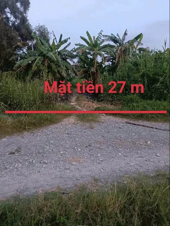 Bán đất 1.771m² (300m² thổ + 1.471m² vườn) Xã Bình Thạnh, Long An - Ảnh 1