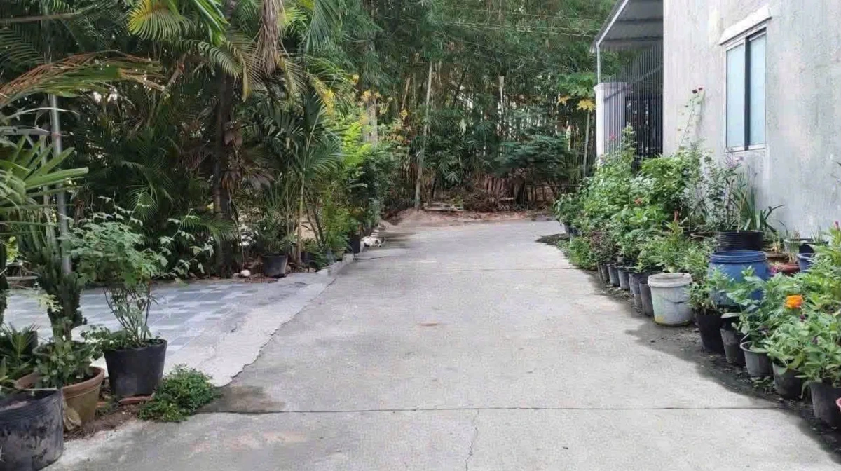 Bán đất nền Tân Định Bến Cát 100m2 1.2 tỷ - Ảnh 1
