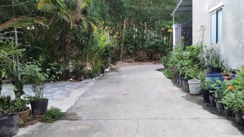 Bán đất nền Tân Định Bến Cát 100m2 1.2 tỷ