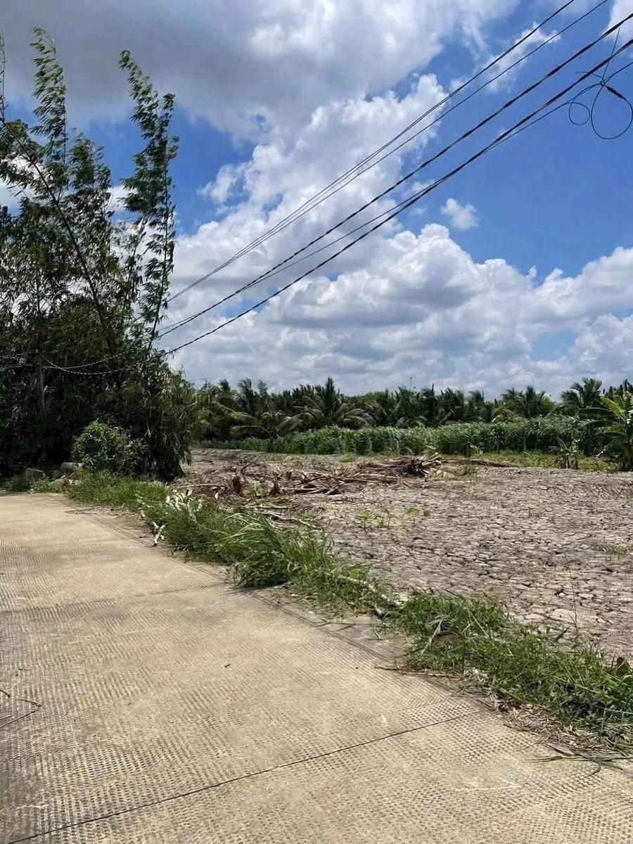 Bán đất vườn 1540m² Vĩnh Công Tây Ninh 990 triệu - Ảnh thu nhỏ 2