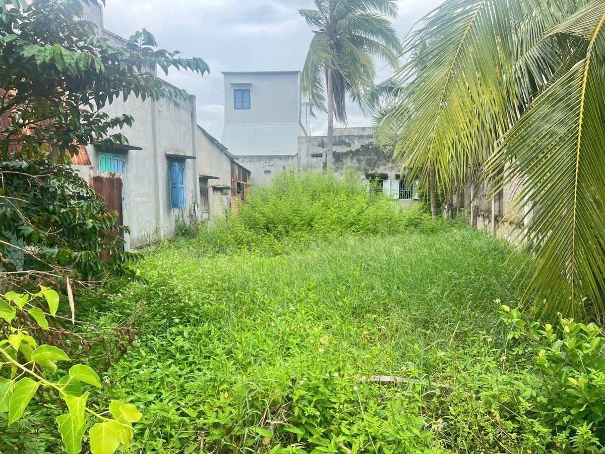 Bán đất thổ cư 138m² tại Xã Hàm Mỹ, Bình Thuận - Ảnh thu nhỏ 2