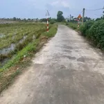Bán 1000m² đất lúa chuyển đổi thổ cư Bến Lức, Long An - Ảnh thu nhỏ 2