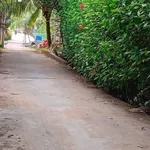 Bán đất mặt tiền Sông Ba Lai 3300m2, gần Chùa Linh Phước - Ảnh thu nhỏ 2