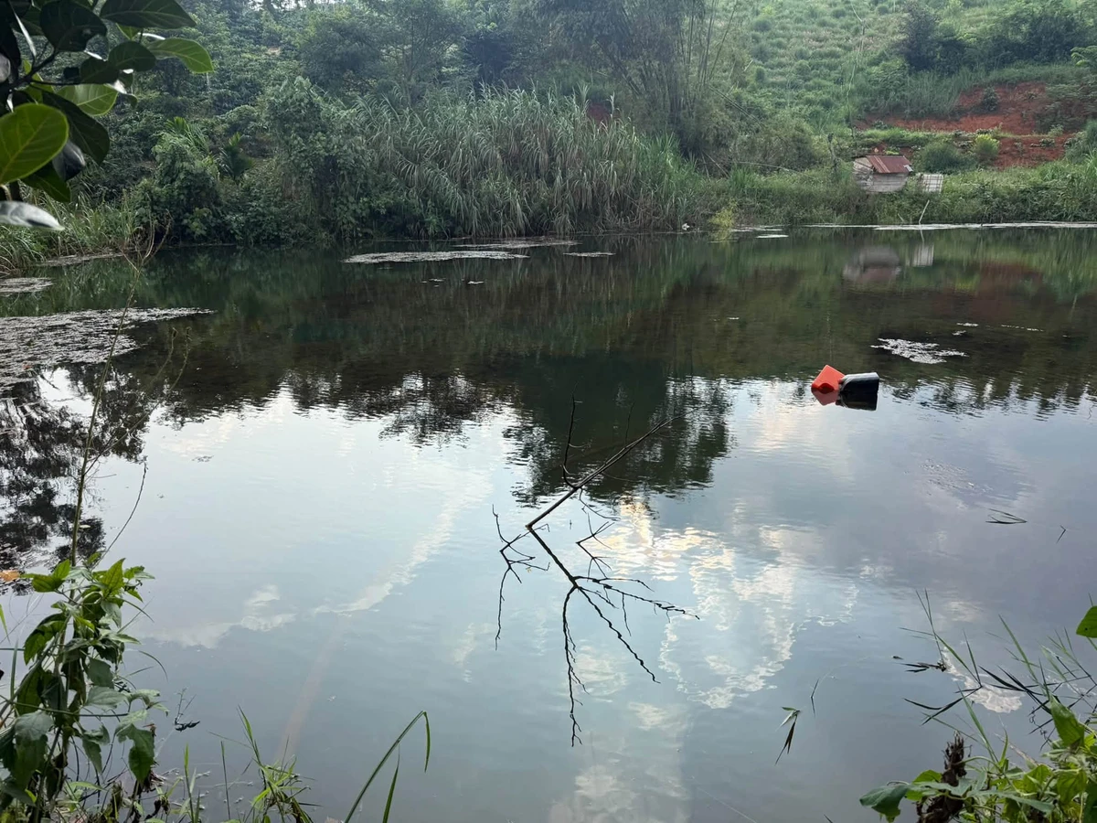 Bán đất 25000m² (2.5ha) tại Đắk Song, giá 4.3 tỷ - Ảnh thu nhỏ 5