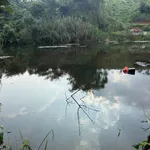 Bán đất 25000m² (2.5ha) tại Đắk Song, giá 4.3 tỷ - Ảnh thu nhỏ 5
