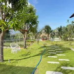Bán nhà vườn 1.606m² Phan Thiết 1 tỷ 790 triệu - Ảnh thu nhỏ 4