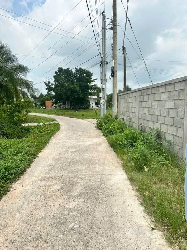 Bán nhanh lô đất thổ cư 100m2 đường bê tông ô tô tại Hàm Chính, Lâm Đồng, giá 450 triệu