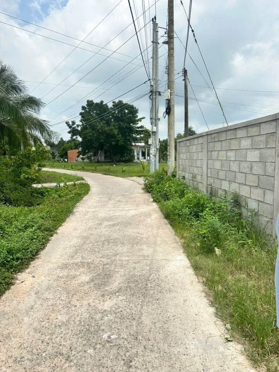 Bán nhanh lô đất thổ cư 100m2 đường bê tông ô tô tại Hàm Chính, Lâm Đồng, giá 450 triệu - Ảnh 1