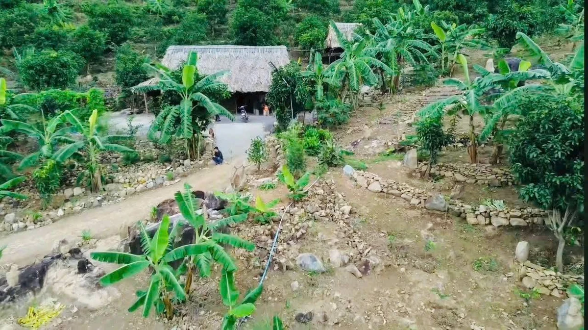 Bán vườn 4.283m² với 850 triệu ở Diên Sơn - Ảnh thu nhỏ 4