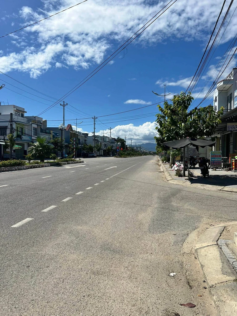 Bán lô đất 253m² CLN cho thổ cư Long Bình 1, Phan Rang - Ảnh thu nhỏ 2