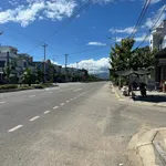 Bán lô đất 253m² CLN cho thổ cư Long Bình 1, Phan Rang - Ảnh thu nhỏ 2
