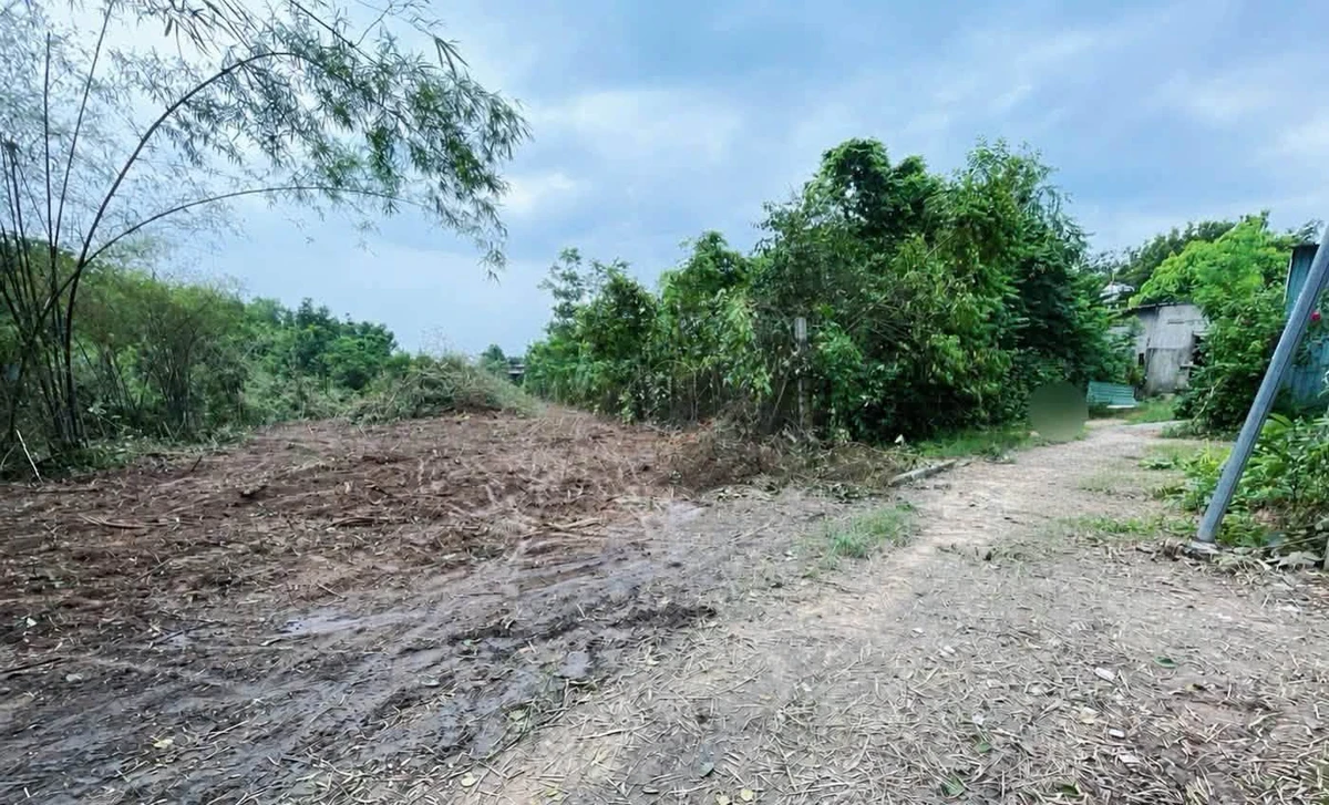 Bán lô đất 850 triệu Phú An Bình Chánh - Ảnh 1