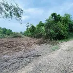 Bán lô đất 850 triệu Phú An Bình Chánh - Ảnh thu nhỏ 1