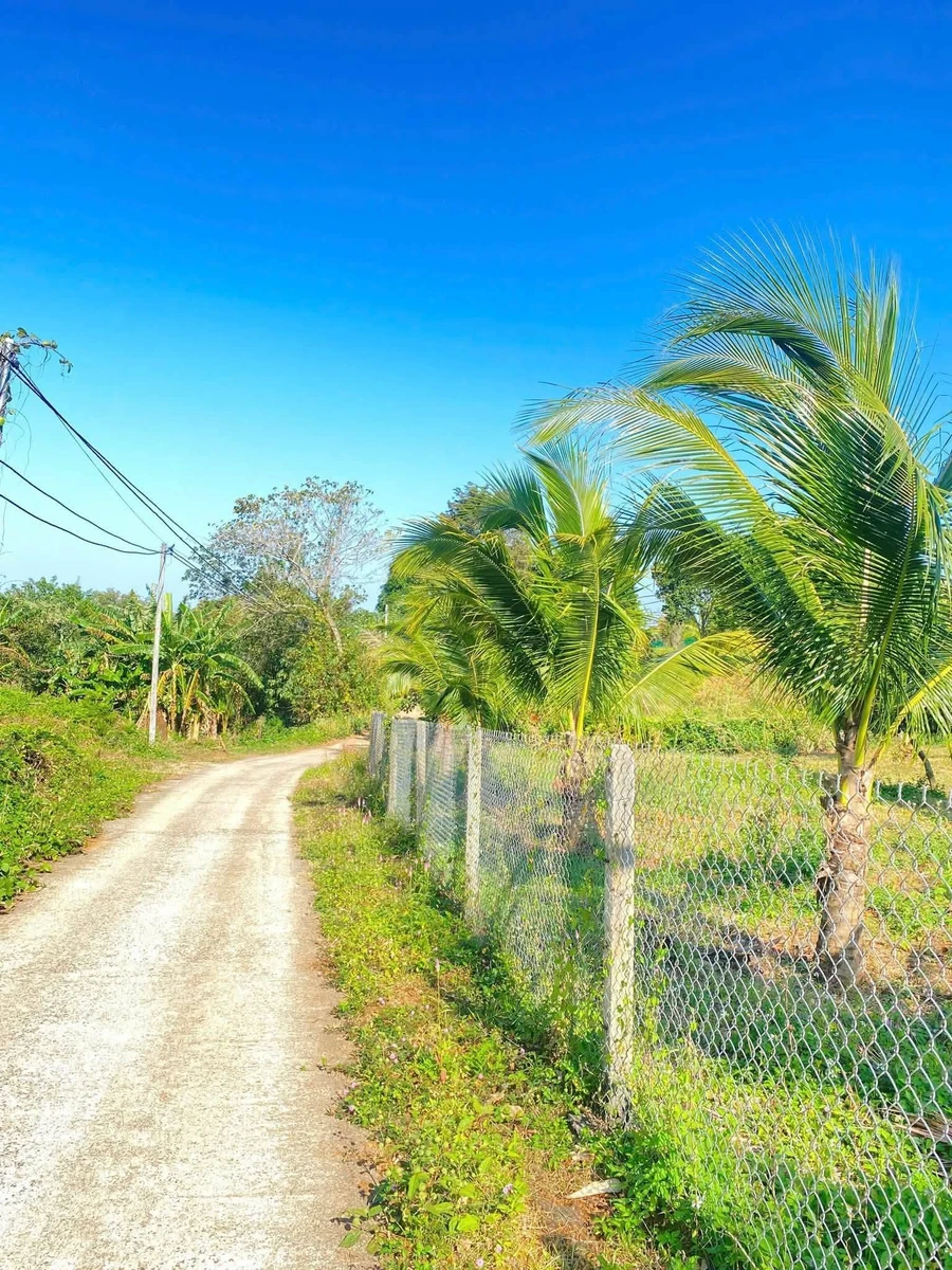 Bán 1.200m² đất Ô Việt Ê Pan, Bình Chánh - Ảnh thu nhỏ 2