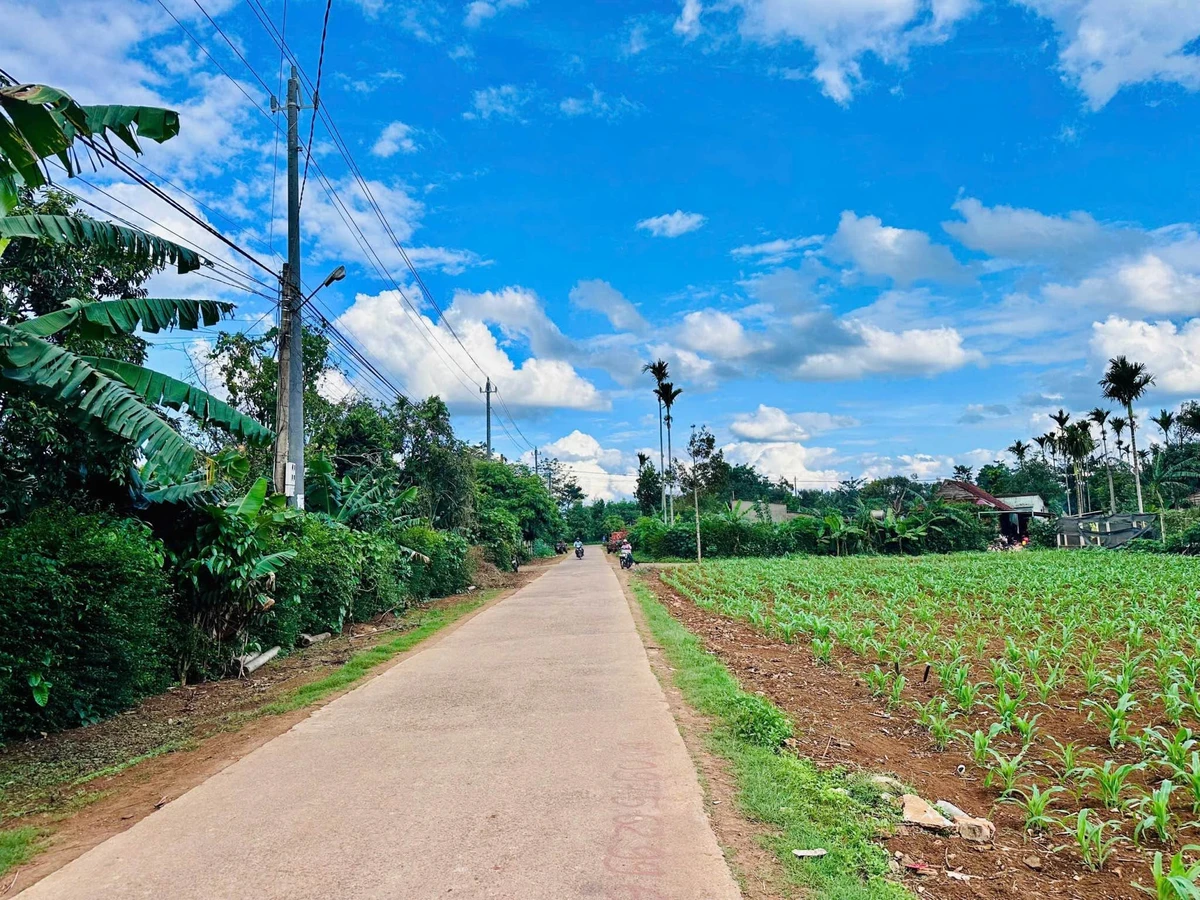 Bán đất 200m² thổ cư 60m² hướng Đông Bình Chánh - Ảnh thu nhỏ 3