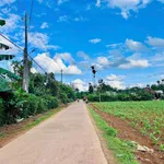 Bán đất 200m² thổ cư 60m² hướng Đông Bình Chánh - Ảnh thu nhỏ 3