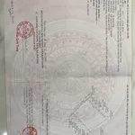 Bán 41 công ruộng Cần Giờ, giá 160 triệu/công - Ảnh thu nhỏ 5