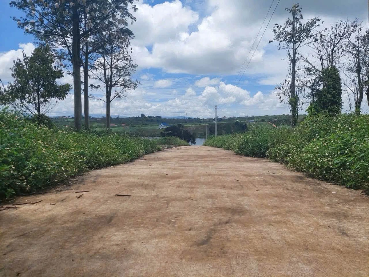 Bán đất Phúc Thọ Hà Nội 362.5m² giá 600 triệu - Ảnh thu nhỏ 2