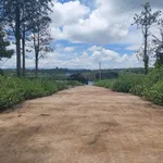 Bán đất Phúc Thọ Hà Nội 362.5m² giá 600 triệu - Ảnh thu nhỏ 2