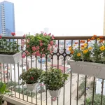 Bán CC D'El Dorado Tây Hồ, 1 ngủ view hồ tây siêu đẹp 5,5 tỷ vị trí đẹp view hồ tây, full đồ ở ngay - Ảnh thu nhỏ 17