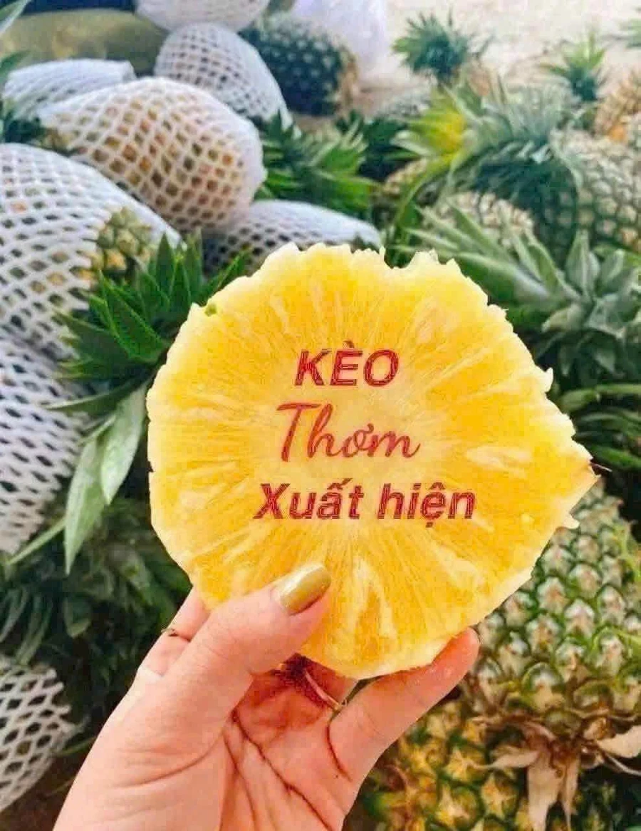 Bán đất 160m2 thổ cư Long Thành 970 triệu - Ảnh thu nhỏ 2