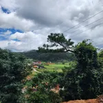 Bán hơn 3000m2 đất đầu làng Kon Pring bám QL24, giá 1,5 tỷ/1000m2 - Ảnh thu nhỏ 3