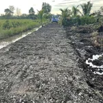 Bán đất vườn 500m² Long An giá 295 triệu - Ảnh thu nhỏ 2