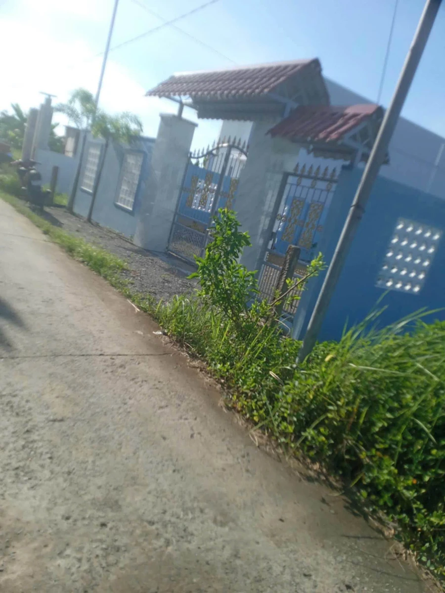 Bán đất 160m² Ấp Bình Cang 2, Huyện Thủ Thừa, Long An - Ảnh thu nhỏ 2