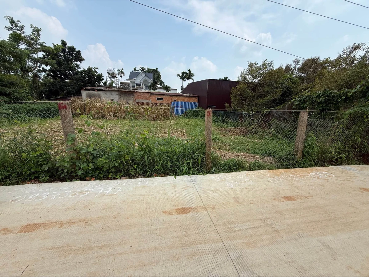 Bán đất xây nhà 75m² Tân Hòa 1 tỷ - Ảnh thu nhỏ 2