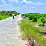 Bán đất vườn Thạnh Hòa 500-750m², 560-690 triệu, Long An - Ảnh thu nhỏ 3