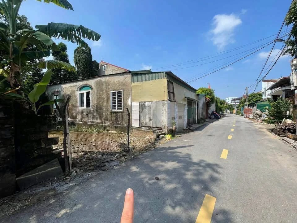 Bán đất ngõ Phạm Ngọc Thạch 72m2, giá 3 tỷ - Ảnh thu nhỏ 3