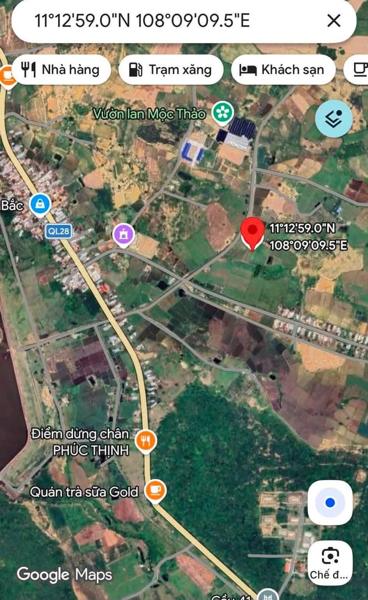 Bán vườn cây ăn trái 6000m2 Hàm Thuận Bắc Bình Thuận 1 tỷ 3 - Ảnh thu nhỏ 3