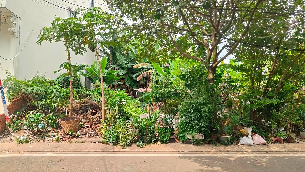 Bán đất mặt tiền Trần Huy Liệu, Vĩnh Lạc, Rạch Giá 162.5m² - Ảnh 1