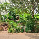 Bán đất mặt tiền Trần Huy Liệu, Vĩnh Lạc, Rạch Giá 162.5m² - Ảnh thu nhỏ 1