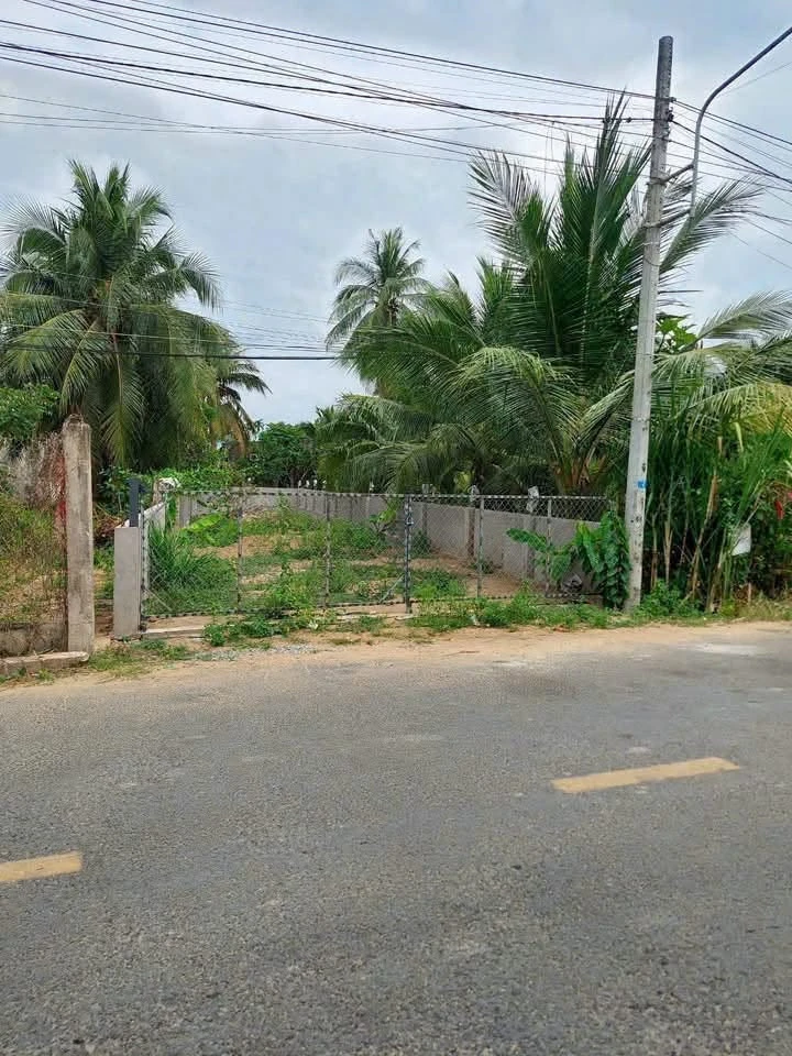 Bán đất mặt tiền 225m² Lộ Nhà Việc Bến Tre - Ảnh thu nhỏ 5