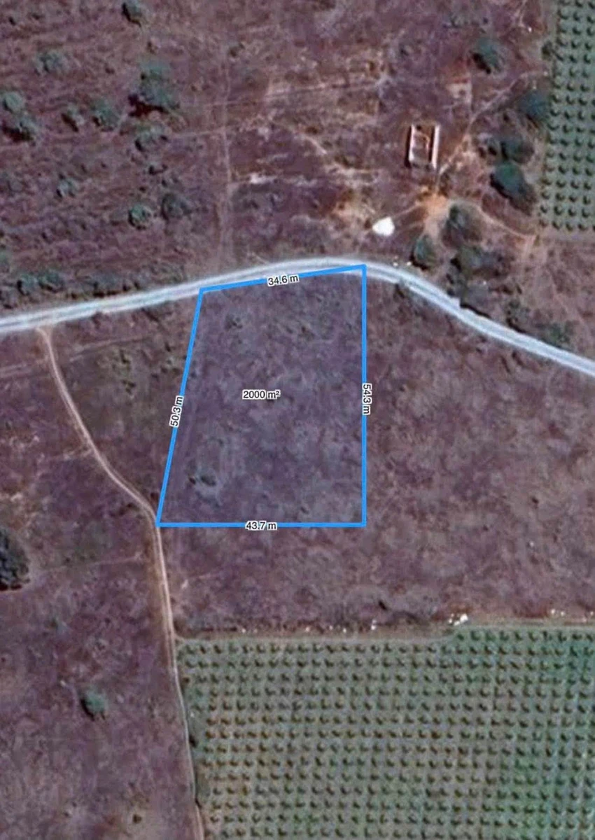 Bán đất biển Tiến Thành 2000m² sổ hồng riêng, view cánh quạt gió - Ảnh thu nhỏ 2