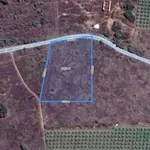 Bán đất biển Tiến Thành 2000m² sổ hồng riêng, view cánh quạt gió - Ảnh thu nhỏ 2
