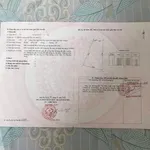 Bán lô nhà vườn 649m² mặt tiền Nguyễn Hùng Mạnh gần Chợ Đất Đỏ - Ảnh thu nhỏ 4