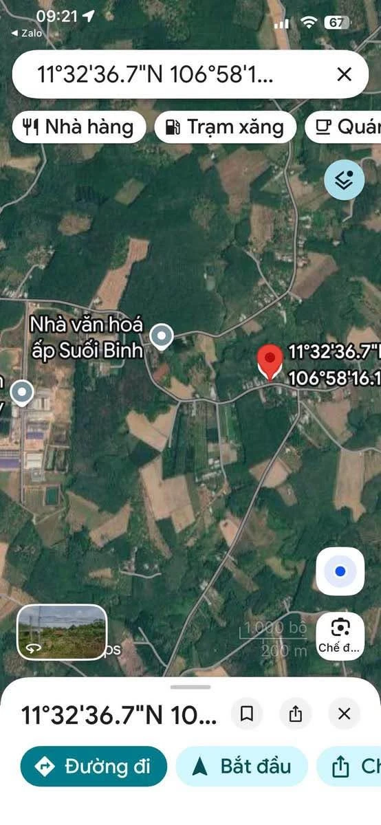 Bán đất mặt tiền Suối Bình Đồng Tiến, 780m2, 900 triệu - Ảnh thu nhỏ 5