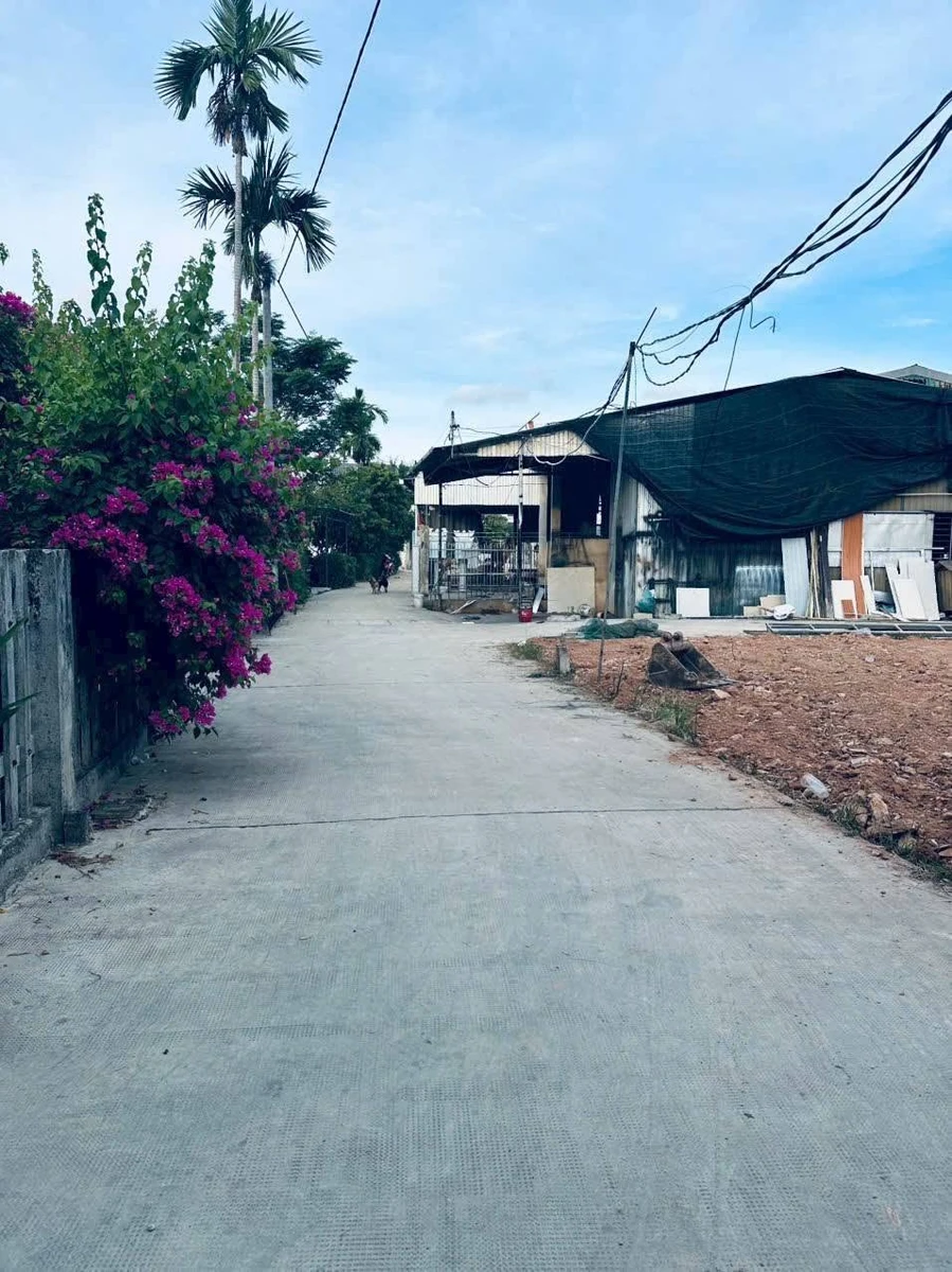 Đất Tây Trì Nhơn Huế 60-98m² 1,25 tỷ gần chợ - Ảnh thu nhỏ 5