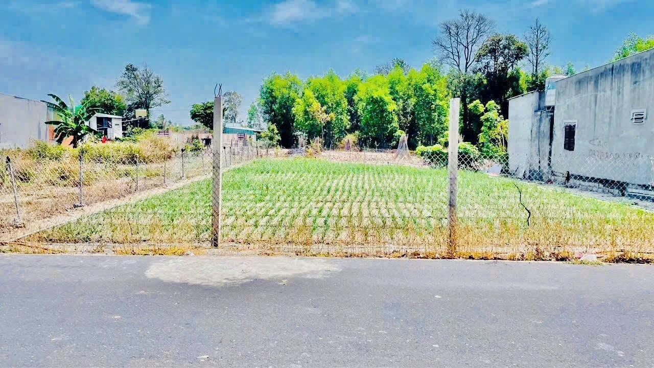Bán đất 400m2 Phước Hải Khánh Hòa view núi, gần biển - Ảnh 1