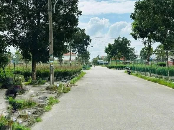 Bán đất đại biệt thự 302m² mặt tiền rộng Huế - Ảnh thu nhỏ 4