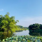 SIÊU PHẨM LẠC THỦY - GIÁP NINH BÌNH - CÁCH HÀ NỘI 65KM - Ảnh thu nhỏ 5