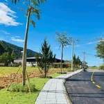 Bán đất Đà Lạt 100m2 view núi Voi, gần đèo Prenn 1 tỷ - Ảnh thu nhỏ 2