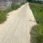 Bán 1,4 mẫu đất ao tôm Xã Thạnh Trị, Vĩnh Long - Ảnh thu nhỏ 1