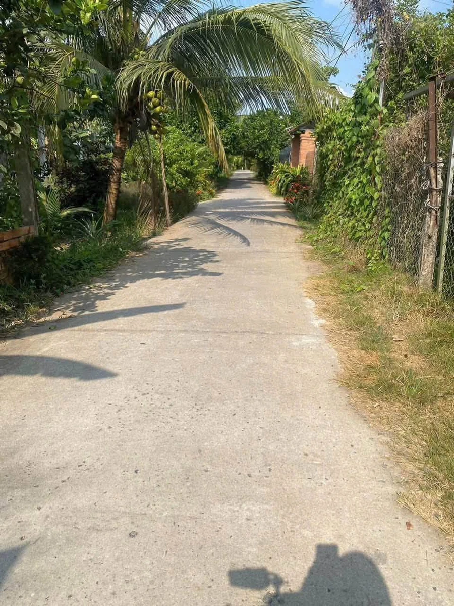 Bán đất vườn 300m² có cây ăn quả xã Tiên Long, Bình Chánh - Ảnh 1